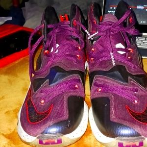 Lebron James nike size 9